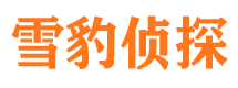 剑阁外遇调查取证